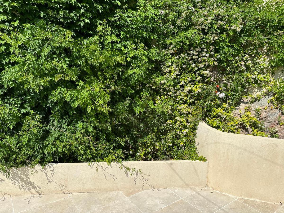 Villa Paradis - Cannes Zewnętrze zdjęcie